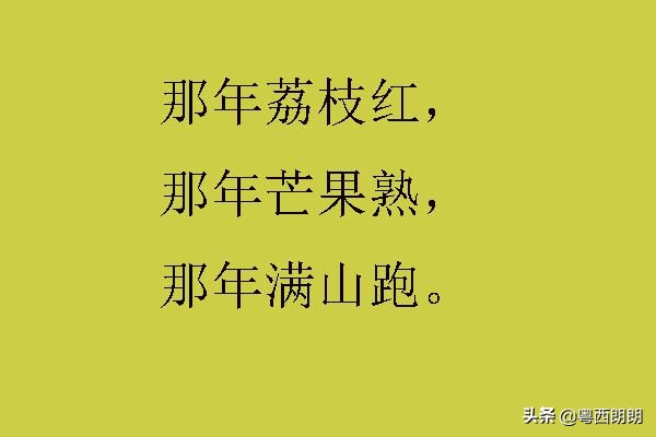 那年荔枝红，那年芒果熟，那年满山跑