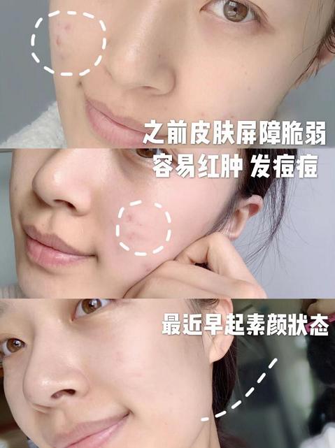 新西兰奶源羊奶,新西兰好健康羊奶