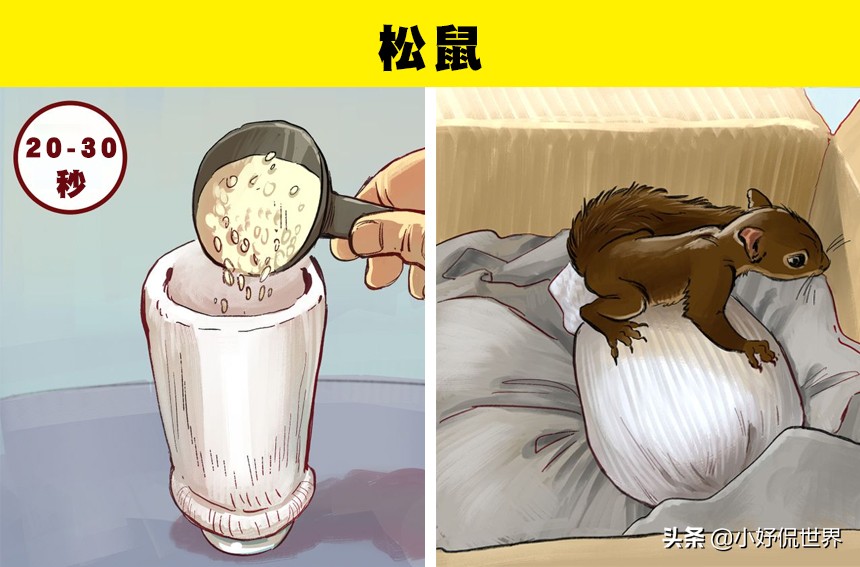 动物受伤处理视频,国家二级保护动物受伤了怎么处理