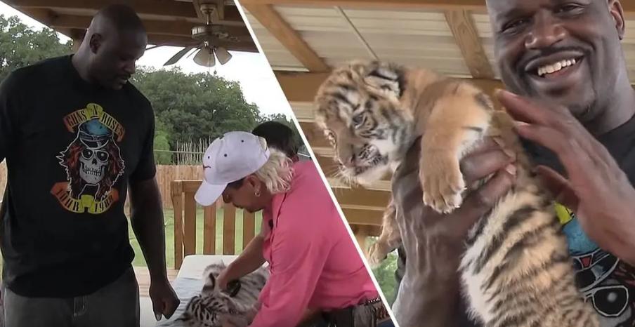 疫情中全美国都在安利这疯子电影