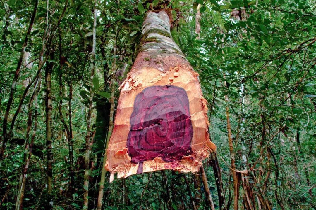 精油一般保质期多长时间,精油的有效期限是多久