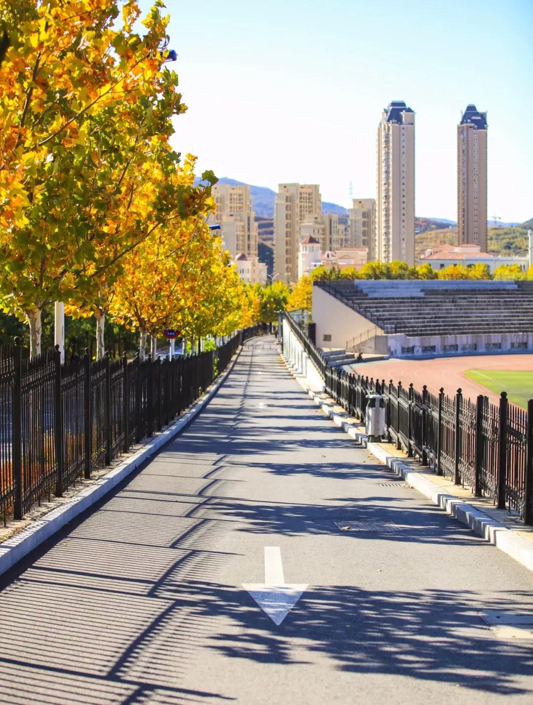 辽宁大连民办大学,大连辽宁二本大学