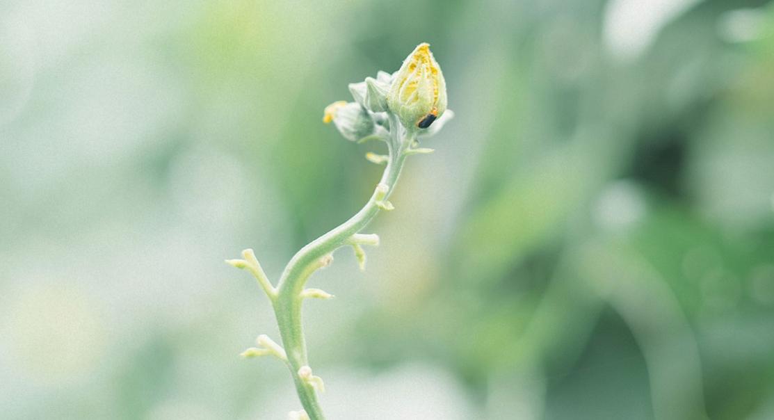 金牛女如何让双鱼男死心塌地,怎么让双鱼男彻底死心塌地