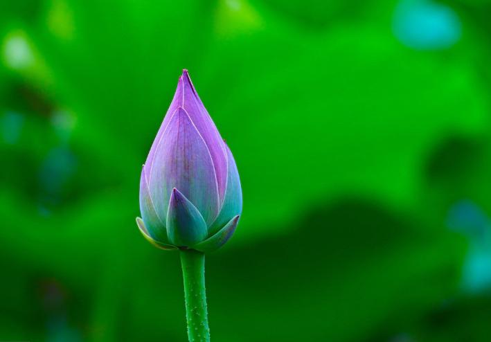 期货多强空弱交易原则,期货交易的一般原则