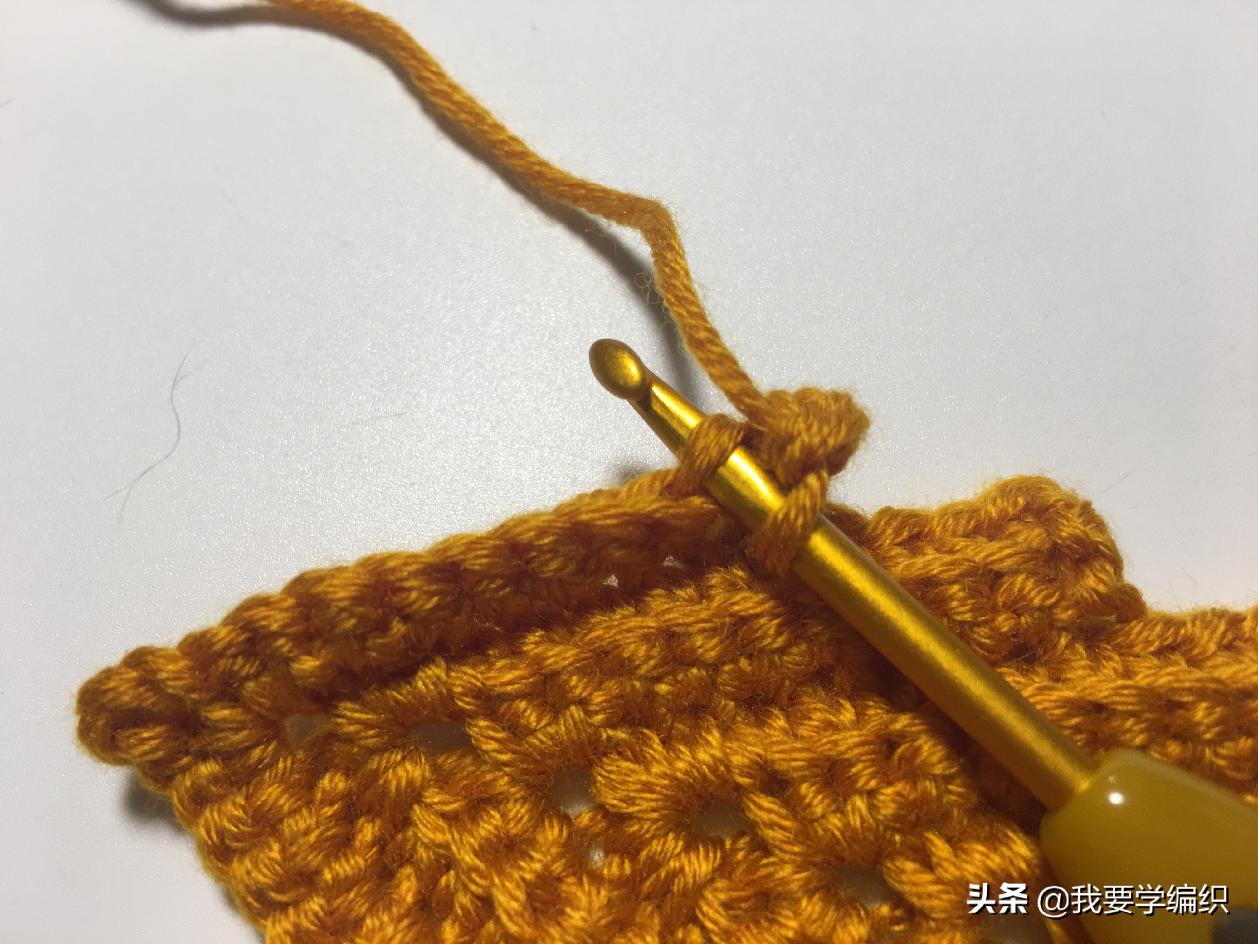 仿佛回到了过去的时光,一款浪漫的树叶书签教程,也可做成小挂饰