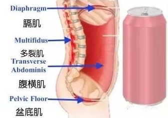 卷腹后腰痛是什么原因,健身操卷腹腰痛是怎么回事