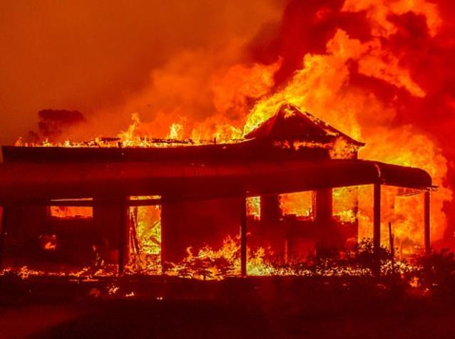 大火还在烧，澳总理打鸡血：公务员消防志愿者每年有额外4周年假