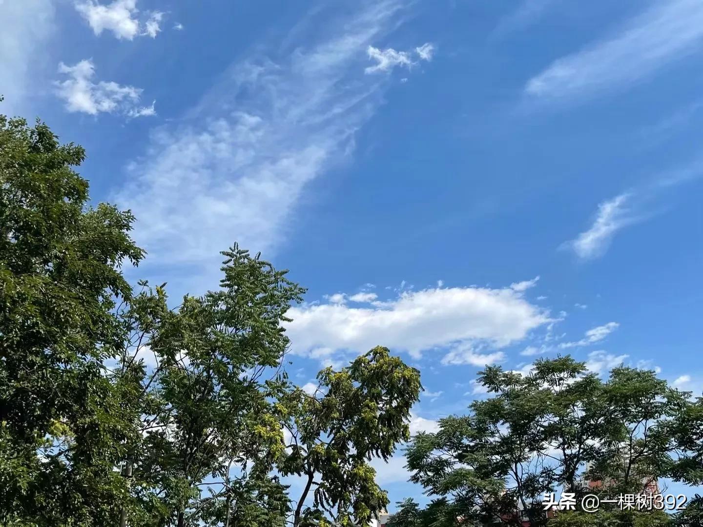 期末复习关键时刻，期望三科330的孩子感冒了