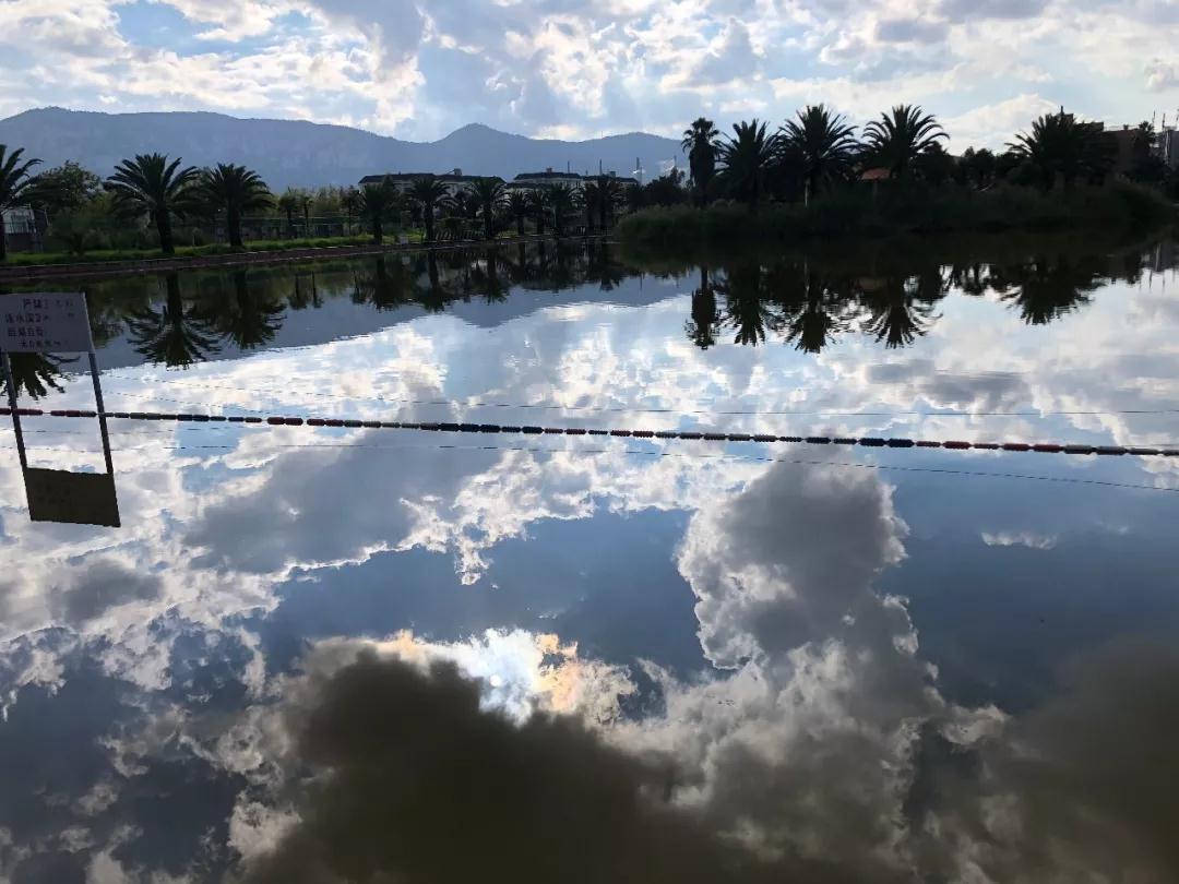 蓝花楹昆明网红打卡地在哪里,昆明周边湿地公园网红打卡地