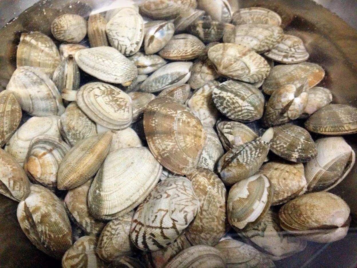 如何判断花蛤是否炒熟,如何辨别花蛤是否是活的