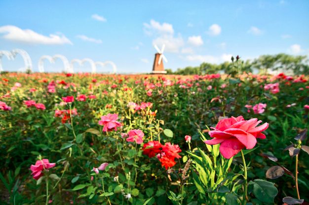 比厦门安静的海滨城市,比厦门安静10倍