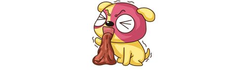 毛孩子消化不良出现拉稀呕吐,毛孩子换了新环境拉肚子怎么回事