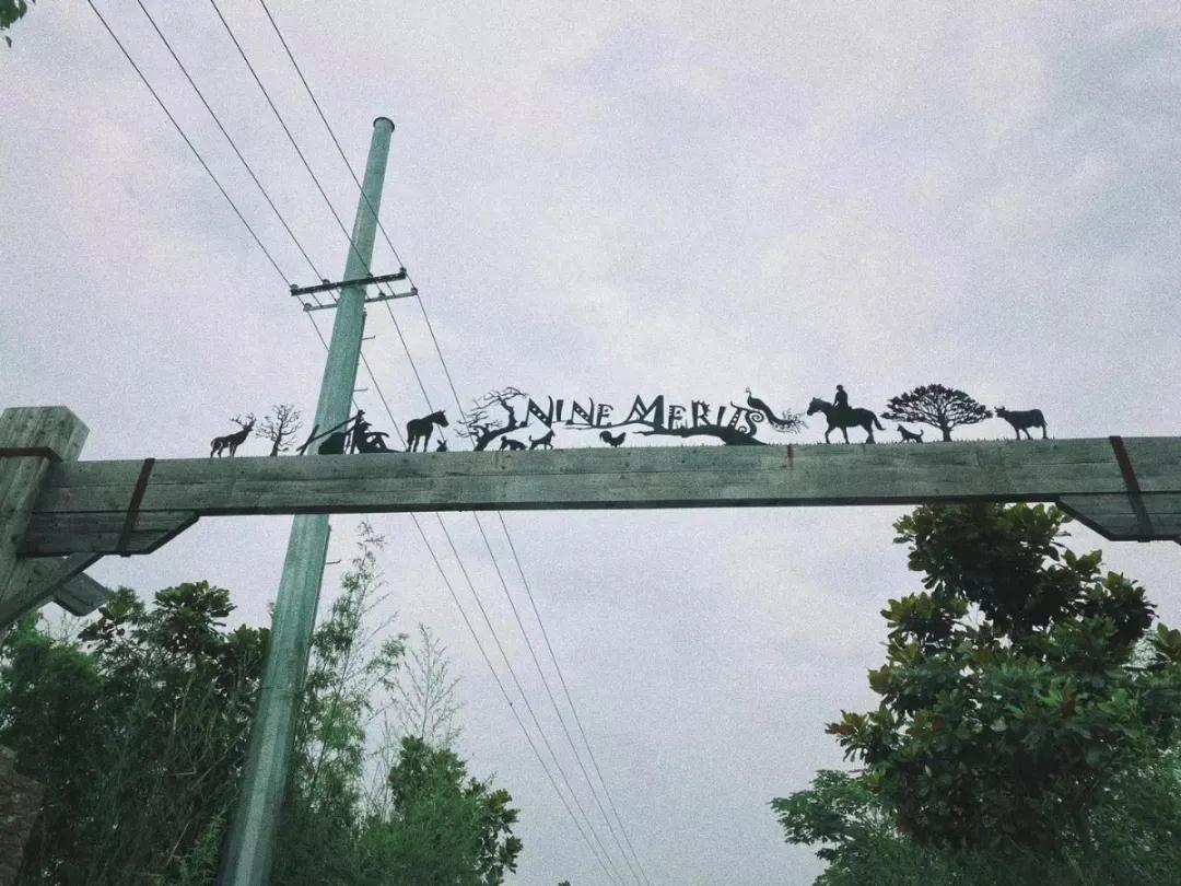 用低成本打造高颜值农场,广东夫妇超省钱