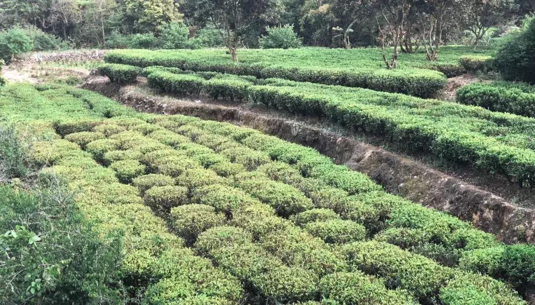 越过山丘才发现它如此优秀,越过山丘发现一无所有