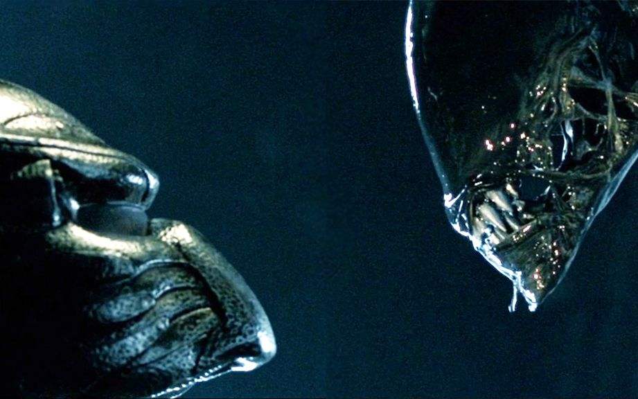 杰森大战鬼王弗莱迪,弗莱迪大战杰森系列