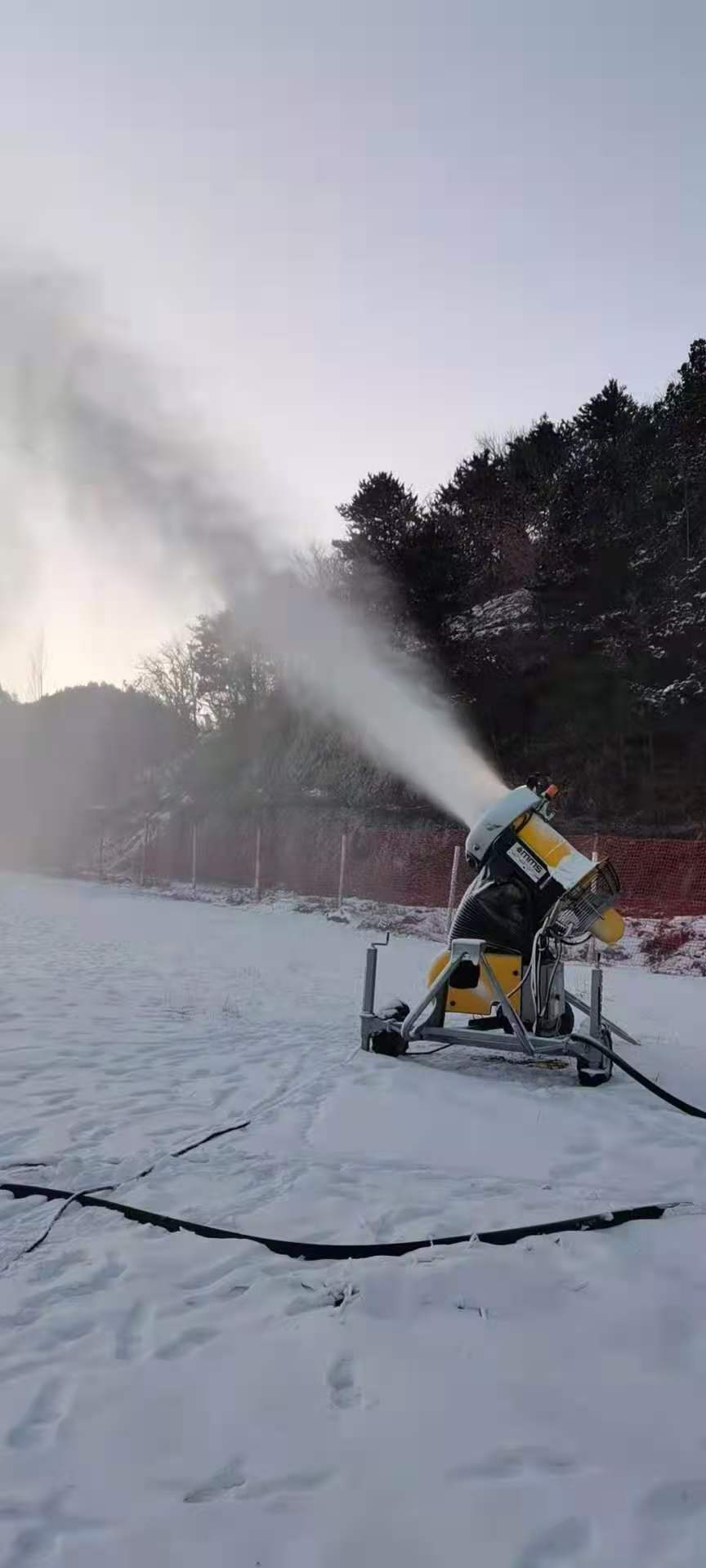 小雪已过大雪将至,小雪已过大雪将至迎来新春