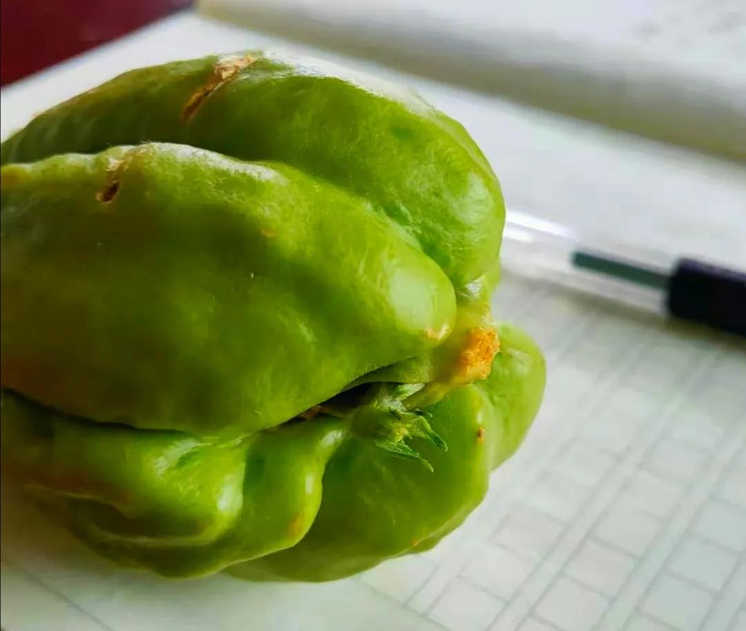 纯真年代（15）贵州安顺佛手玉润念佛手瓜