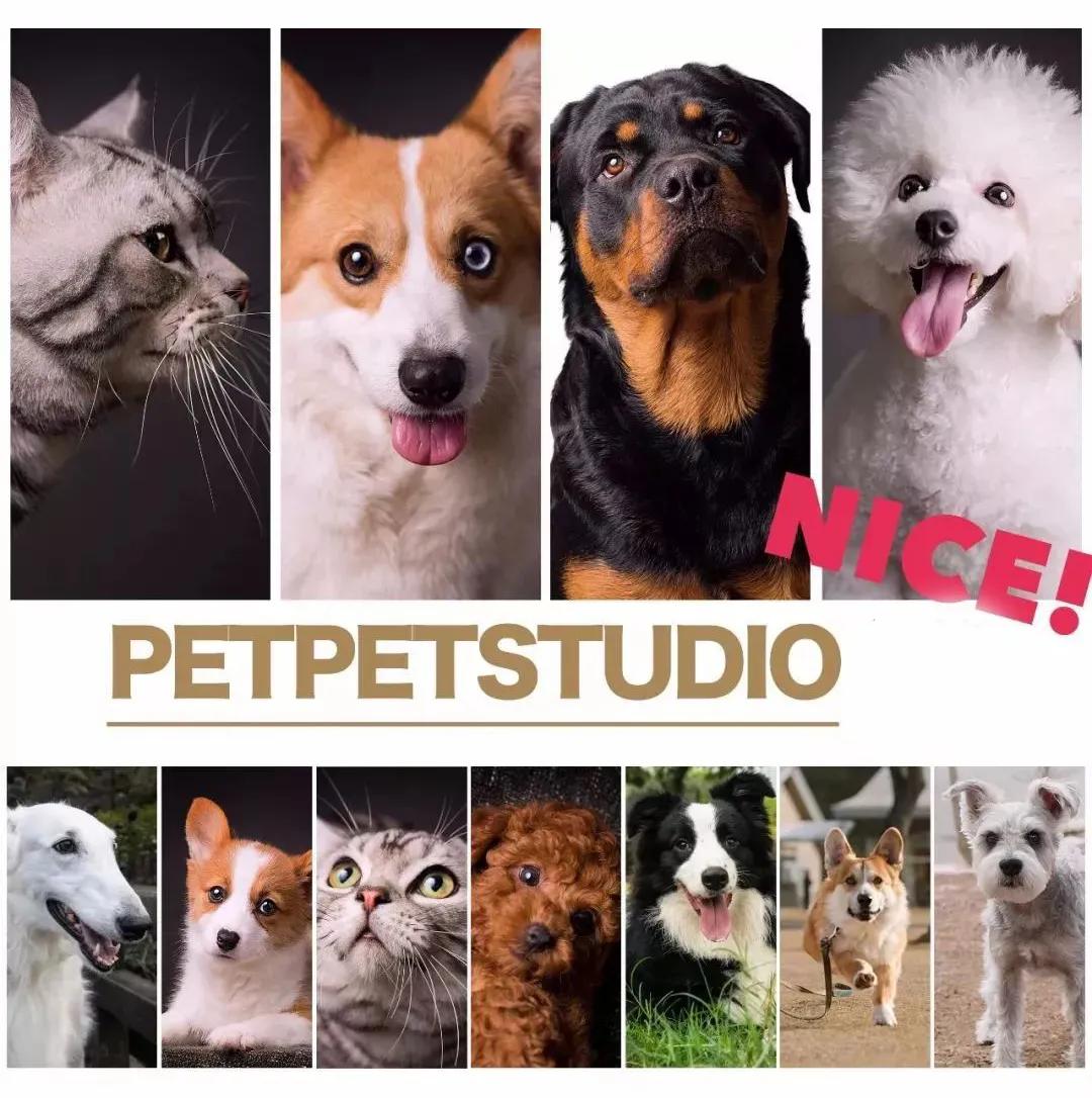 买车必等9月，2020烟台秋季车展亮点预告