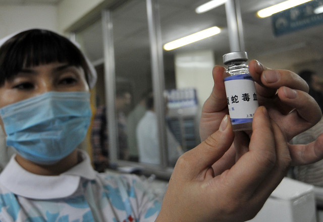 女生在野外被毒蛇咬伤,野外被毒蛇咬伤怎么办自救