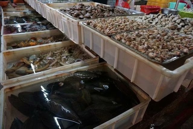 拥抱那片大海,拥抱这片海