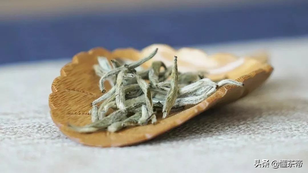 泡茶时要不要用茶滤？茶小白和泡茶老手各执一词