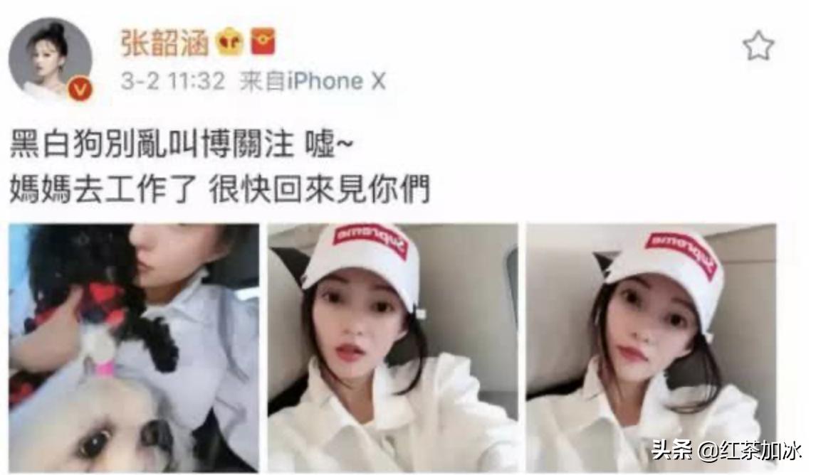 范玮琪跟张韶涵有什么瓜葛吗,范玮琪和张韶涵的事