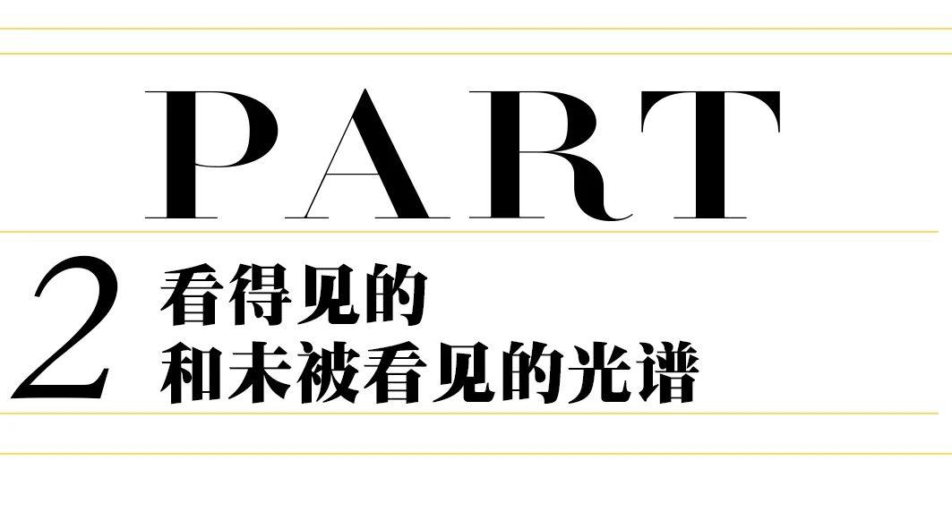 世间万物的来由,世间万物的本质