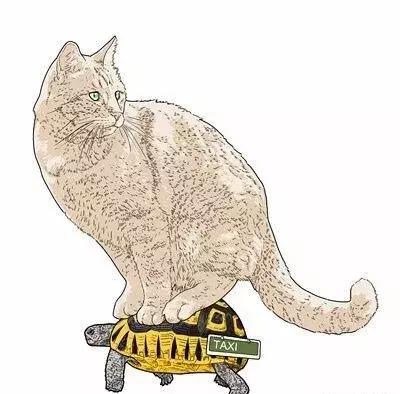 解析女性的各种*梦春**——是否有一种你做过？