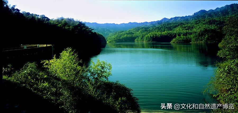 世界自然遗产赤水桫椤植物,赤水世界文化遗产