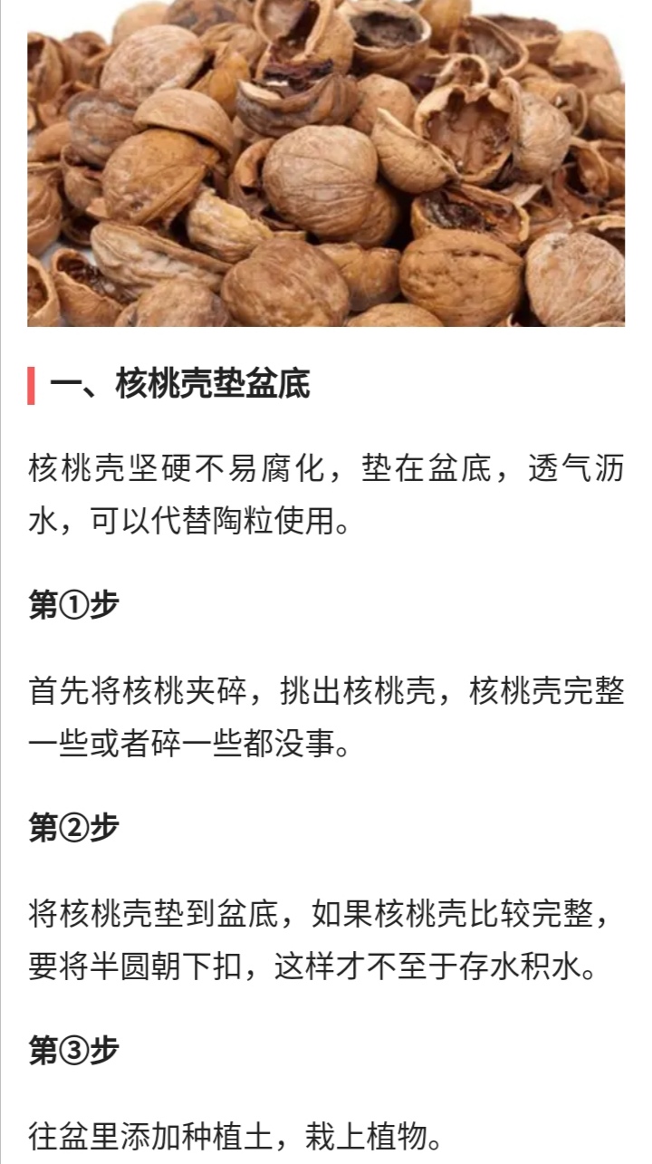 宝宝核桃红枣包子怎么做,补脑核桃包的做法