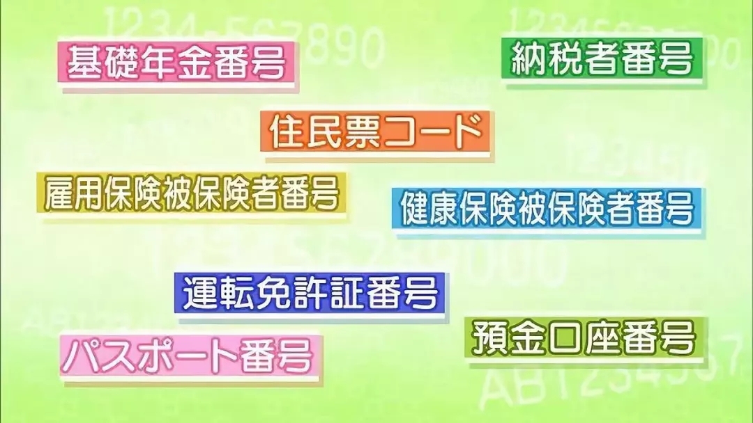 日本人用什么证明身份,日本人有人证吗