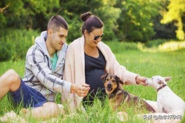 婆婆说怀孕不能养狗,央视辟谣怀孕不能养狗视频
