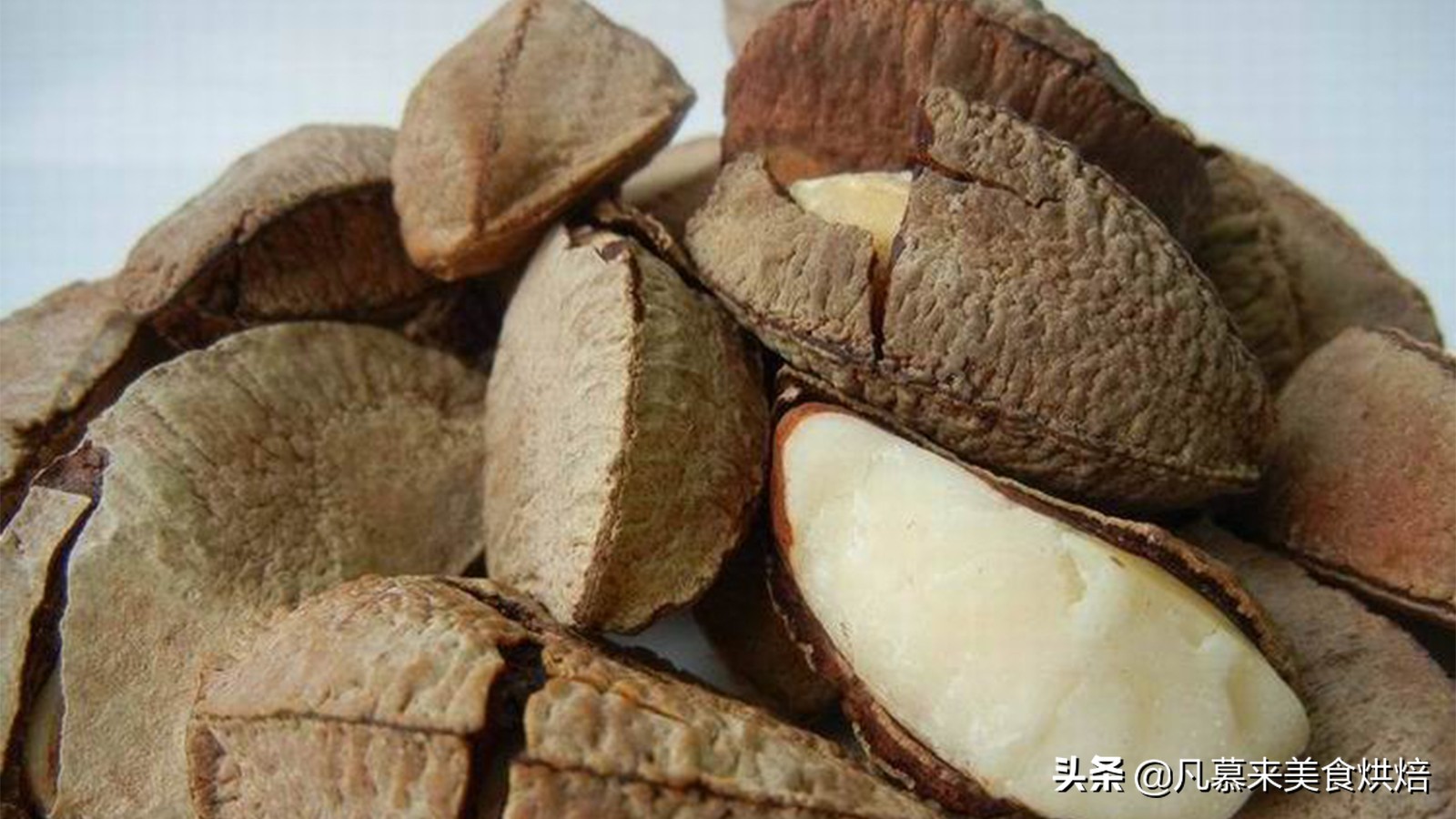 什么样的坚果又好吃又有营养,坚果类有哪些坚果种类