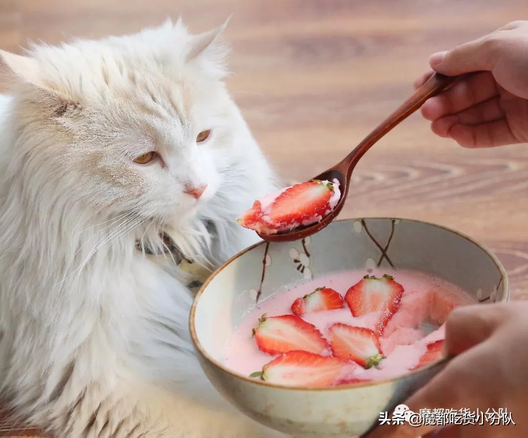 一份吃喝玩乐实用攻略已备好,吃喝指南大全