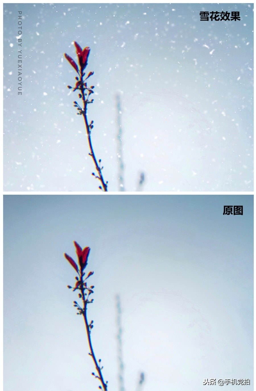 下雪天手机怎么拍慢动作雪景,手机下雪拍雪景专业模式