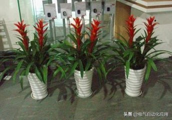 静电不会致命但会造成二次伤害,静电危害有几种情况