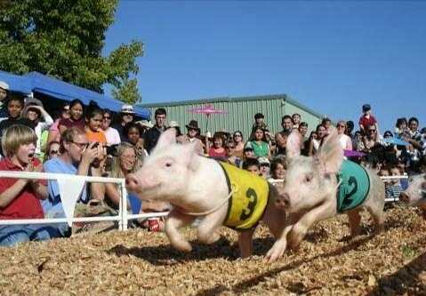 海口邦邦熊乐园要门票吗,邦邦熊主题乐园海口