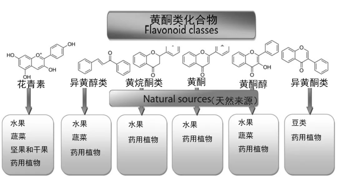最新研究:500mg!“防癌增寿”的饮食标准终于有了