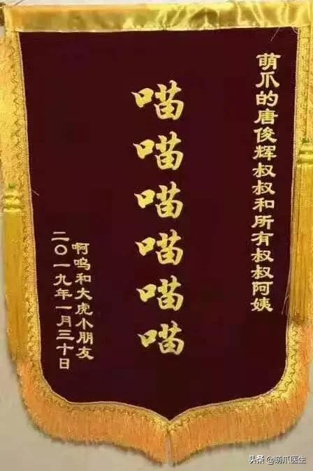 疫情宠物医院应该关门么,疫情宠物医院被迫关闭怎么办