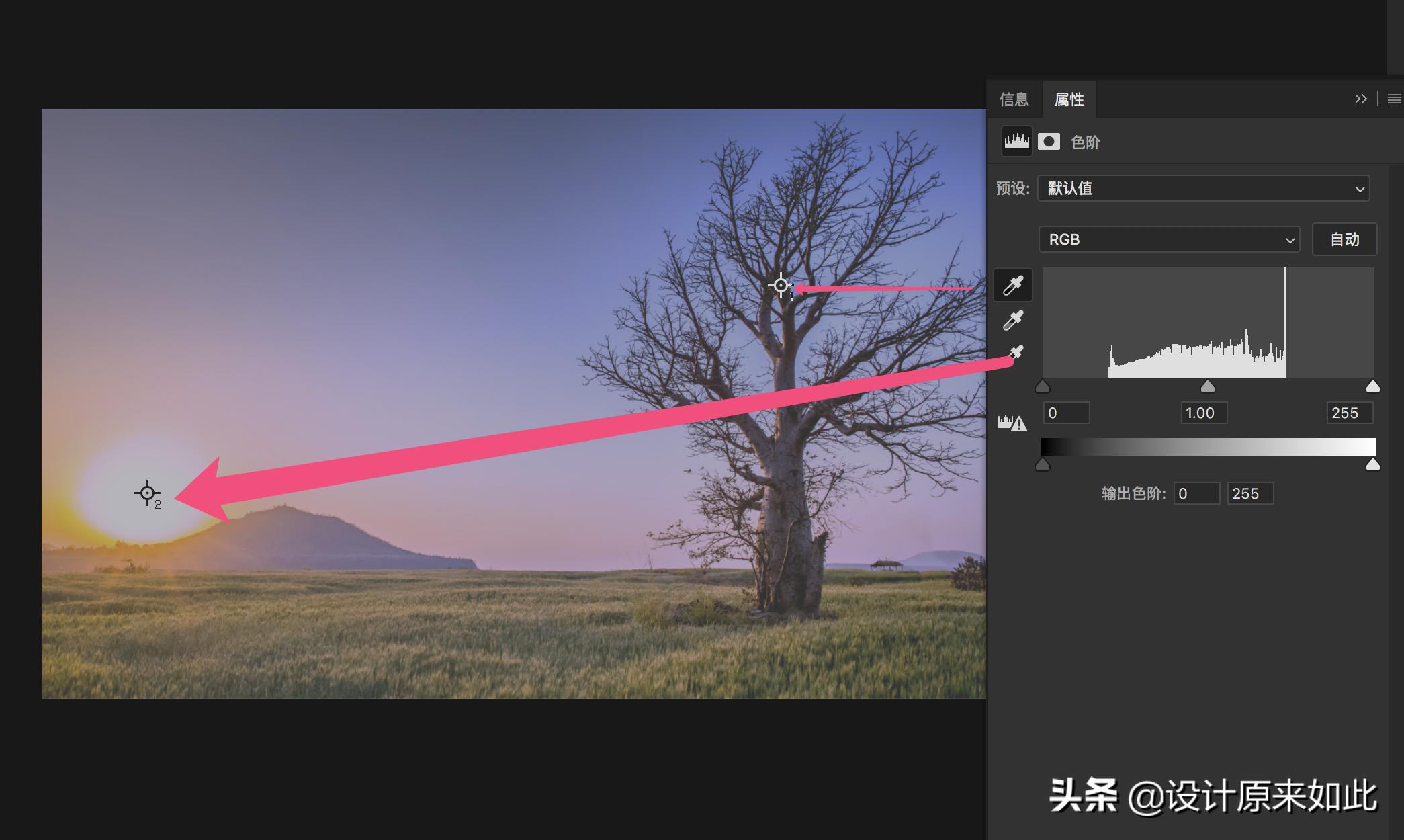 ps可选颜色与色阶调色的区别,ps怎么调色照片背景颜色