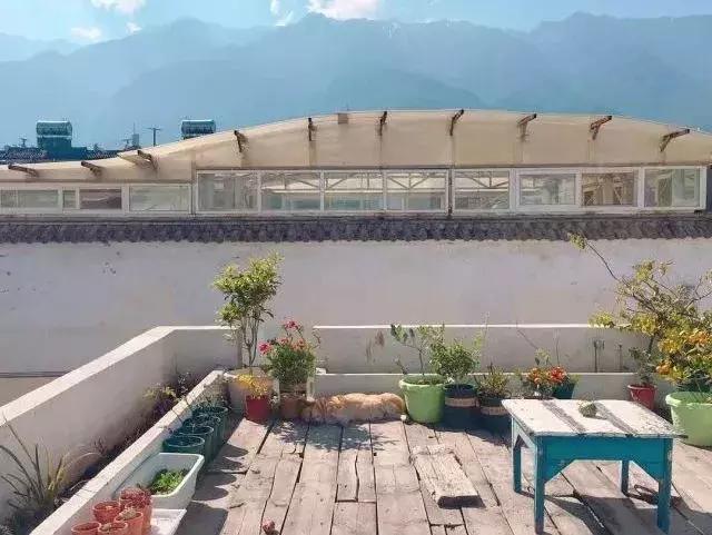 北漂在大理的生活,北漂女子住大理