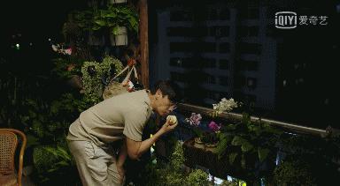 那些让人笑死的神剧,那些看了就想气死人的剧