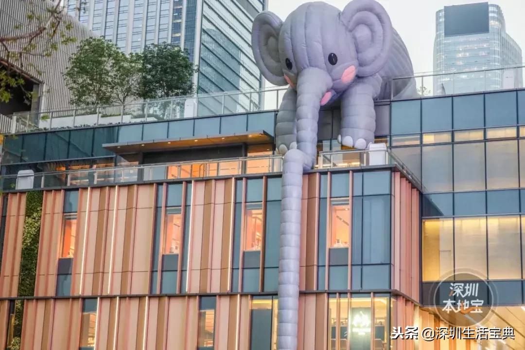 深圳南山有哪些风景,深圳南山夜晚有哪里好玩