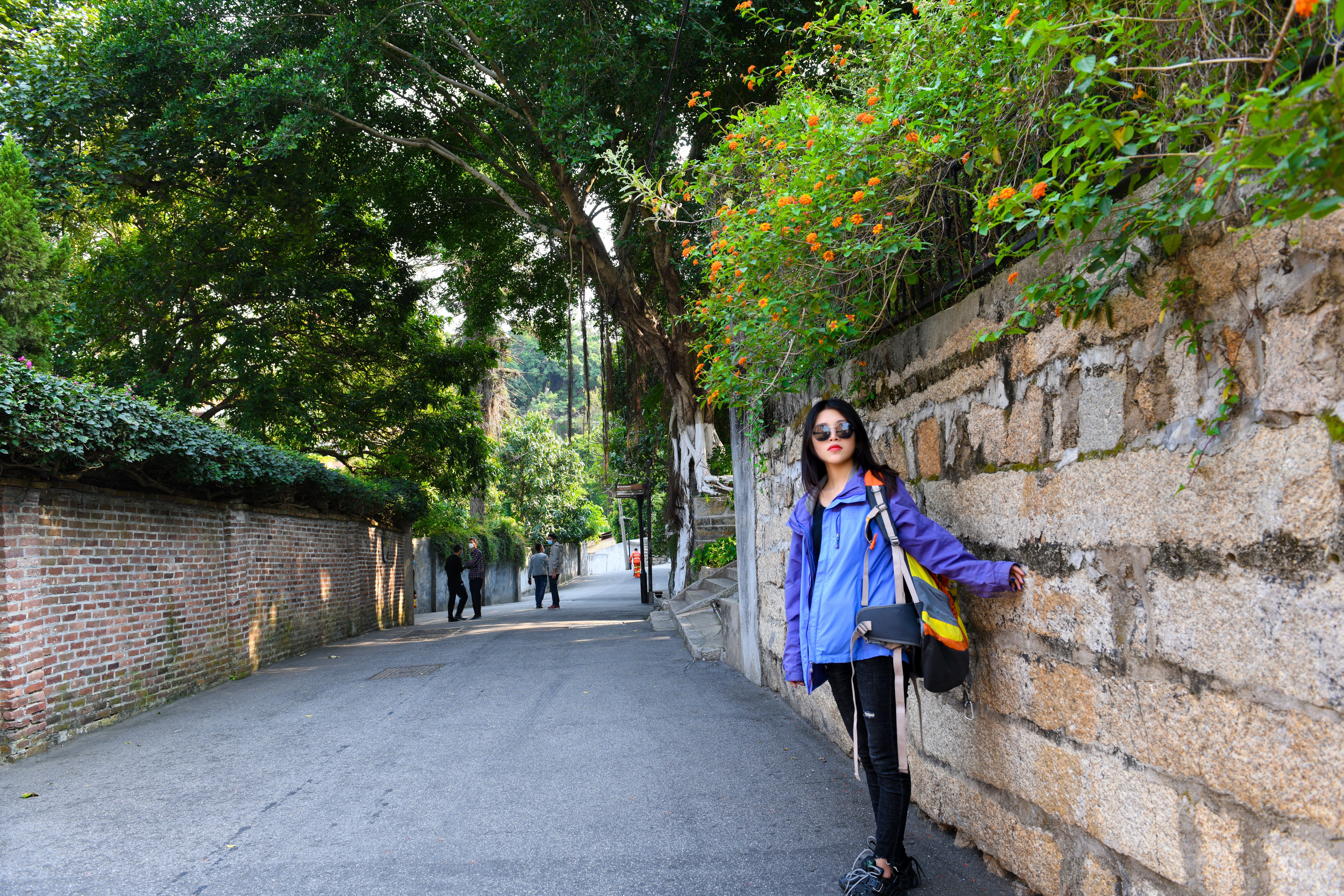 厦门鼓浪屿免费,厦门景点半价政策最新规定