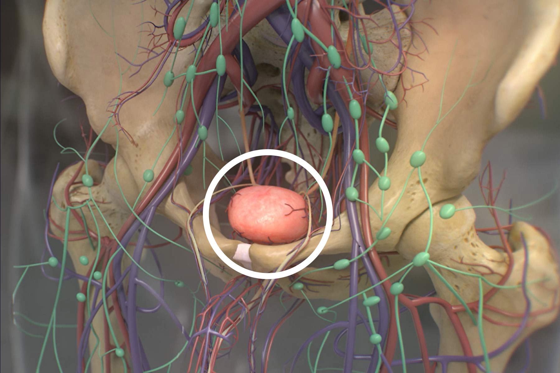 尿频有怀孕的可能吗,尿频且黄可能的原因