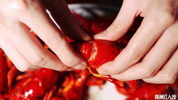 神经哥回归过程,神经哥原唱歌曲