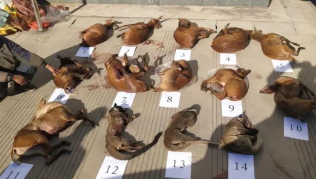 微信被永久封禁的解决方法,微信被永久封禁了好友怎么拷贝