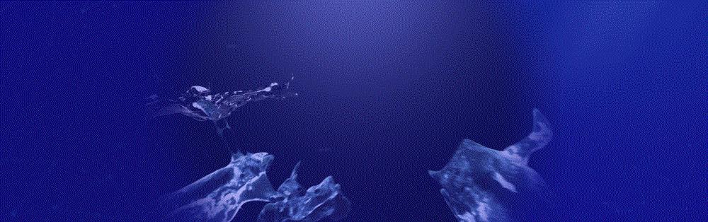 鑻规灉鍙戝竷浼歱pt鍏ㄧ▼,iphone鍙戝竷浼氱殑ppt