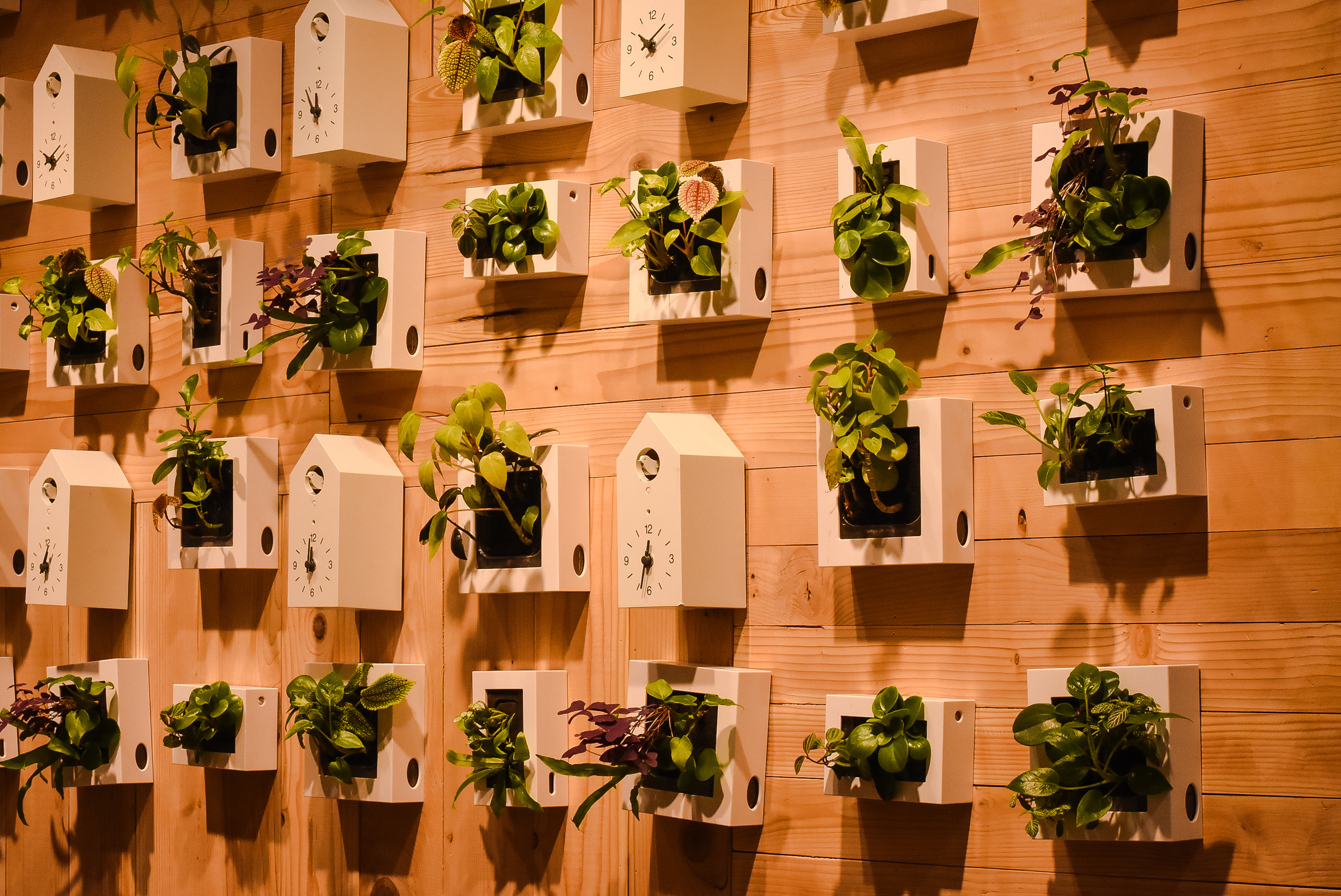 香港湾仔老字号美食小吃,湾仔码头附近美食攻略