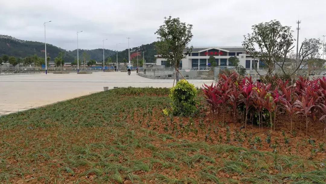 云浮高铁东站什么时候开通,高铁云浮东站